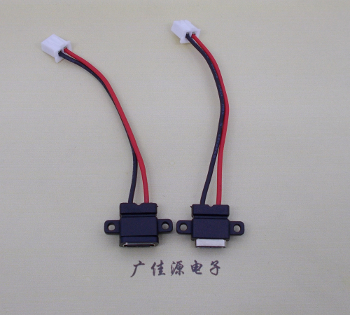长安镇简易type c2p防水母座注塑成型带双螺丝孔焊线式带线带接线端子单充电功能