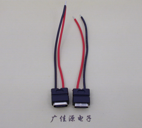 长安镇type c2p防水母座焊线式带线注塑成型带接线端子/不带接线端子充电连接器